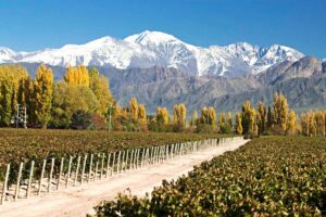 Casi 52 mil turistas visitaron Mendoza durante el fin de semana largo