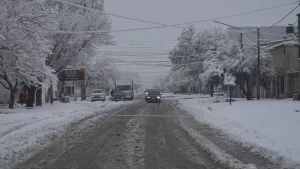 Ola polar: Malargüe fue una de las localidades más frías del país con -15°C