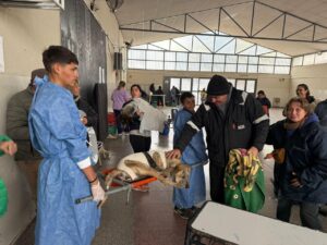 San Martín realizó 118 castraciones y aplicó158 vacunas en un operativo en Los Charabones