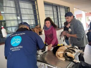 San Martín continúa con el programa gratuito de castración y atención veterinaria