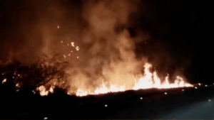 Varios focos de incendio en Santa Rosa