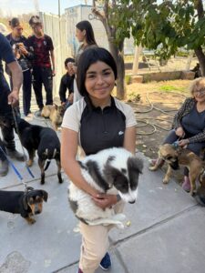 San Martín refuerza el cuidado de mascotas con nuevas jornadas gratuitas