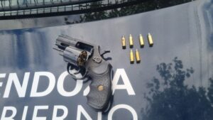 La Policía detuvo a ocho personas y recuperó vehículos