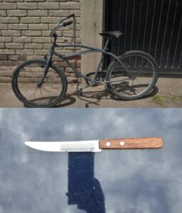 La Policía de Mendoza recuperó vehículos y detuvo a varios sospechosos