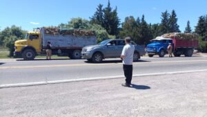 Mendoza refuerza los controles para garantizar un traslado seguro y ordenado del ajo fresco durante la temporada 2025