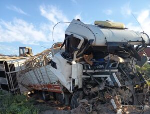 Santa Rosa: Volcó un camión con 65 vacas