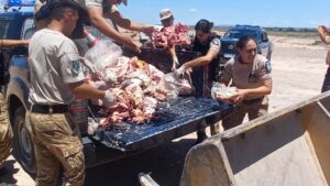 Golpe al abigeato: secuestran 860 kilos de carne