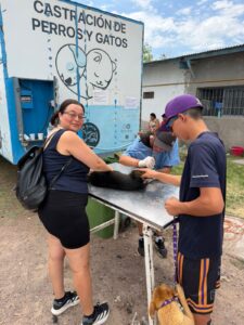 Más de 220 mascotas fueron esterilizadas en un nuevo operativo en el CIC de Palmira