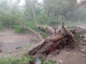 Feroz Temporal: Los departamentos más afectados