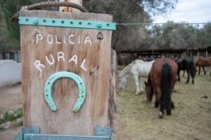 Decomisaron más de 180 kilos de productos cárnicos y fiambres en controles en La Paz