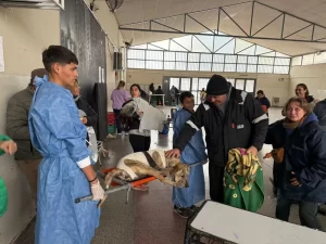 La Clínica Veterinaria Municipal continúa atendiendo durante enero