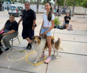 Más de 200 intervenciones en una nueva jornada del programa municipal de castraciones
