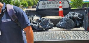 Operativos conjuntos en La Paz: decomiso de alimentos y resguardo de la salud pública