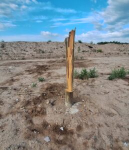 TERCER ROBO DE CABLES Y POSTES DE LA ESCOMBRERA DE RUTA 7 EN LO QUE VA DE 2026