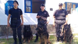 Parker, Polo y Puma cierran su etapa en la fuerza policial