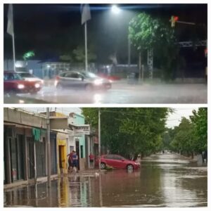 El temporal acumuló más de 50 mm en San Martín y alrededores
