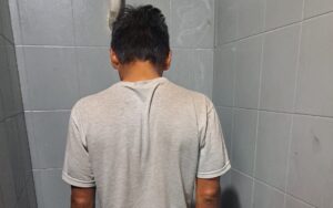 Robaban aceitunas de una finca y fueron detenidos tras una breve fuga