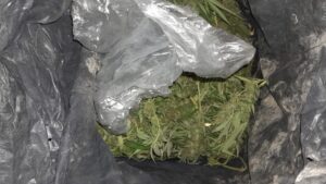 La Policía secuestró más de 6 kilos de marihuana tras un operativo en Rivadavia