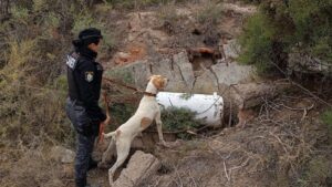 Fito volvió a seguir el rastro de un robo en Santa Rosa y recuperó elementos sustraídos