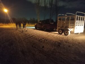 Policía Rural: secuestraron animales y un tráiler en Maipú