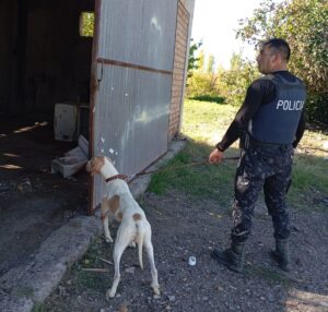 Rivadavia: con la intervención de Fito, la Policía recuperó bienes sustraídos