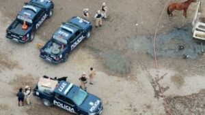 Megaoperativo por faena clandestina