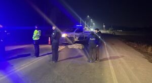 Un conductor alcoholizado atropelló, mató a un peatón