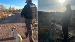 El trabajo de Fito permitió recuperar elementos robados en una vivienda de San Martín