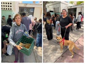 Más de 150 mascotas fueron castradas durante un operativo veterinario en San Martín
