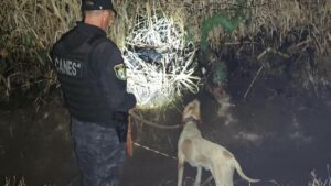 San Martín: Fito rastreó indicios de un robo y permitió hallar elementos robados en un cañaveral