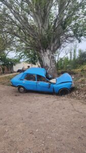 Conducía ebrio y chocó contra un árbol